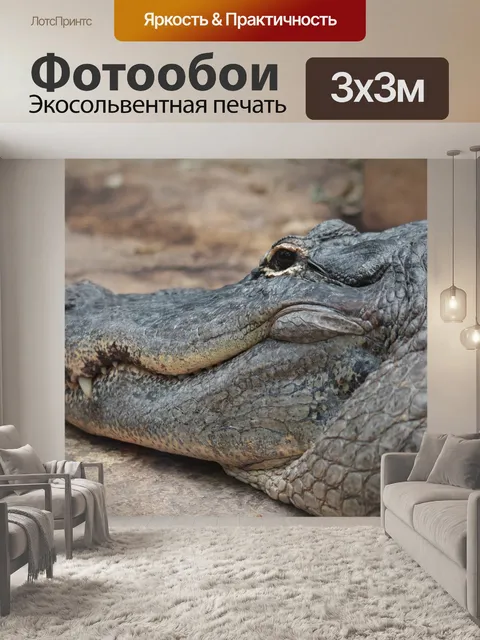 Фотообои Крокодил