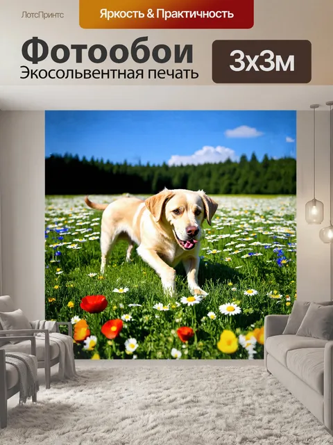 Фотообои лабрадор, игриво щиплющий зеленую траву, стоит на цветочном лугу, который покрыт множеством ярких цветов…