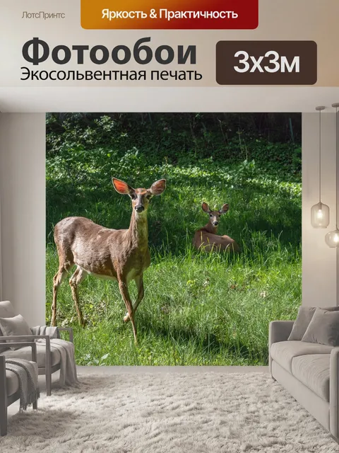 Фотообои Олень