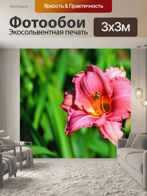 Фотообои День лилии