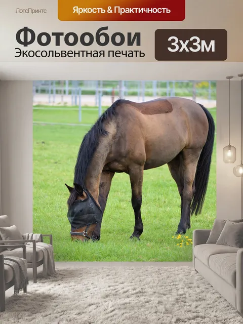 Фотообои Лошади и ферма пони