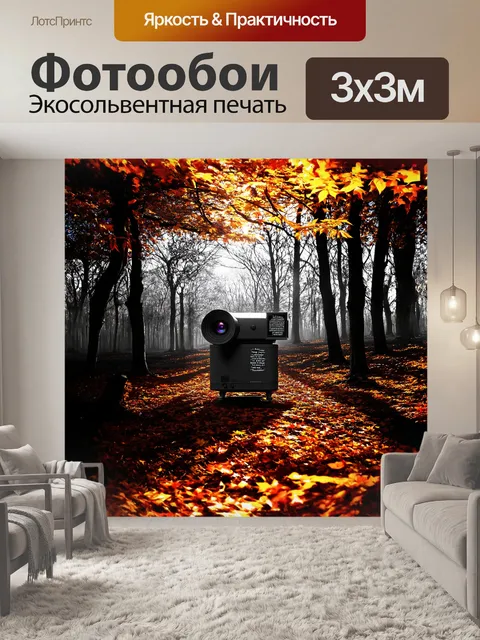 Фотообои в сказочном лесу, где свет пробивается сквозь листву, старый проектор испускает тусклый свет…