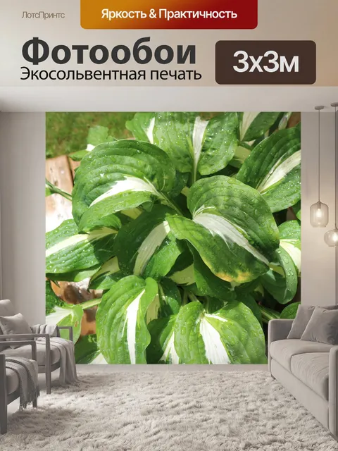 Фотообои зеленые листья белые