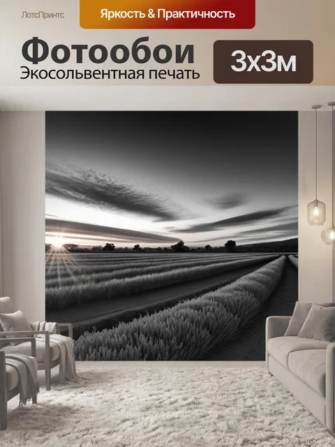 Фотообои пейзаж с закатом живопись чернобелый