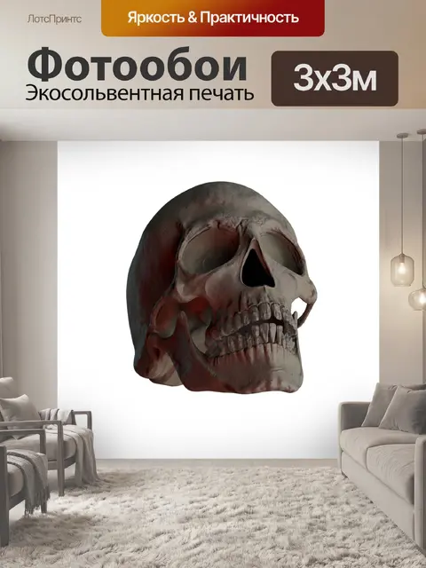 Фотообои Череп