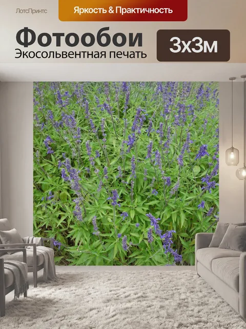 Фотообои Фиолетовый Техас Дикий цветок