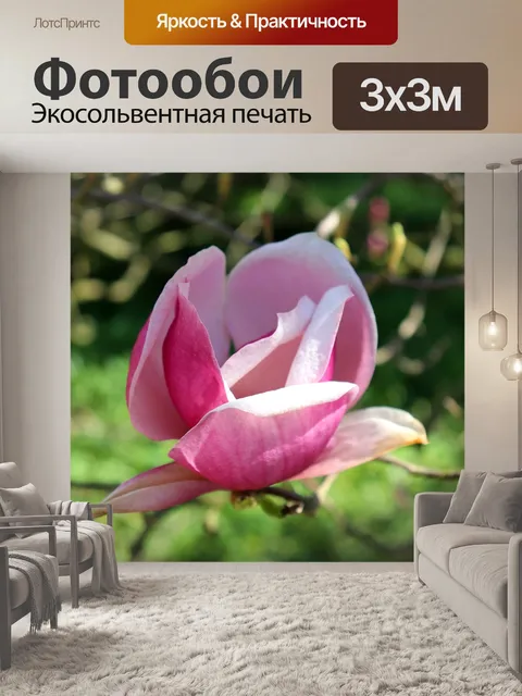 Фотообои Цветы