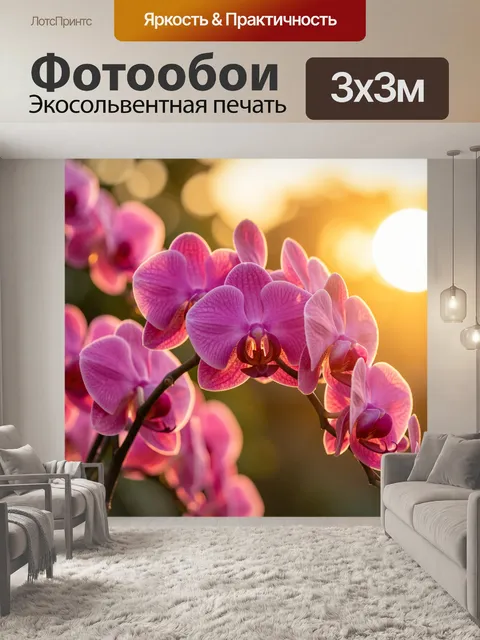 Фотообои Розовые орхидеи на закате