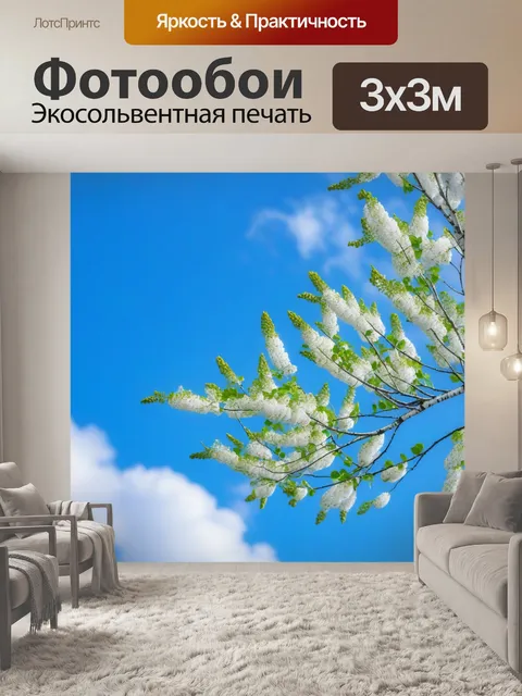 Фотообои цветущая березка на фоне яркого весеннего неба