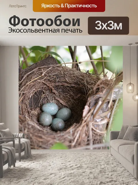 Фотообои Птицы гнезда 4 яйца