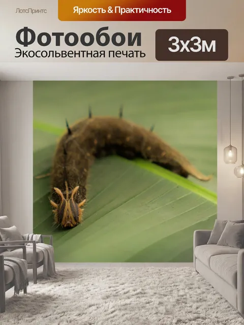 Фотообои Сад бабочек бенальмадена