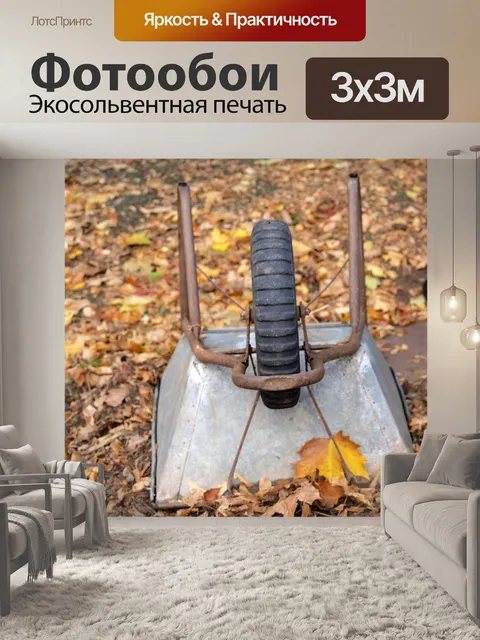 Фотообои Тачка