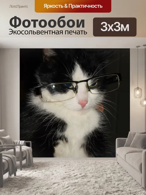 Фотообои Похмелье в очках