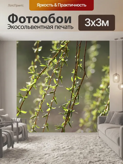 Фотообои Зеленые ветки