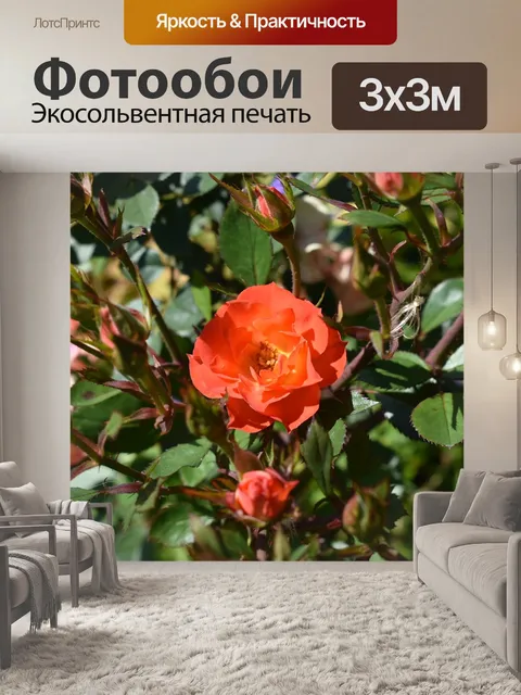 Фотообои Сад