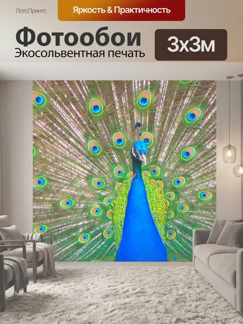 Фотообои Павлин распространения хвостом 3