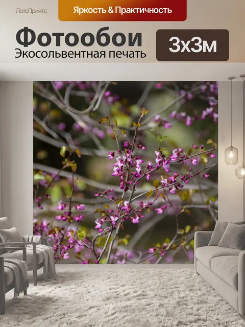 Фотообои Розовые полевые цветы