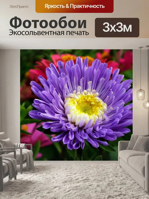 Фотообои Астра