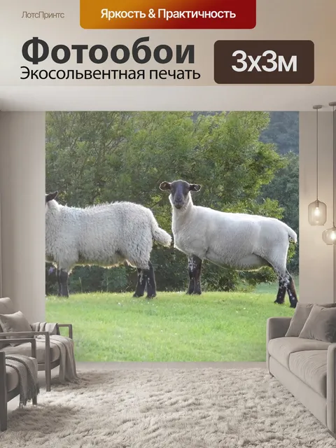 Фотообои Король замка