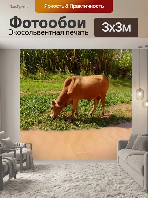 Фотообои Корова