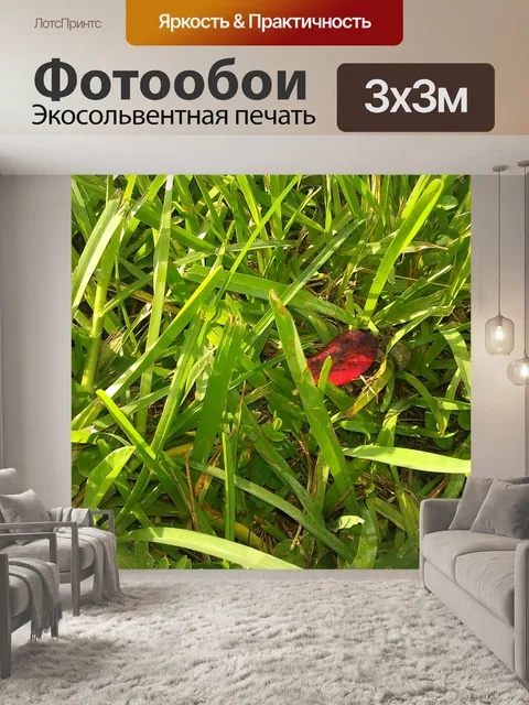 Фотообои Трава