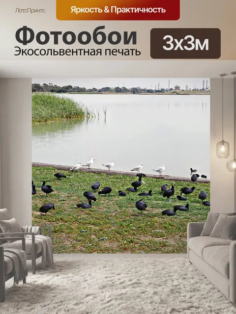 Фотообои Птицы рядом с озером
