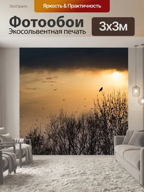 Фотообои Птицы