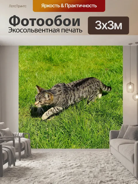 Фотообои Кот