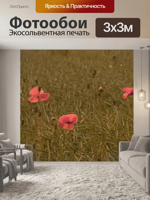 Фотообои Красный мак