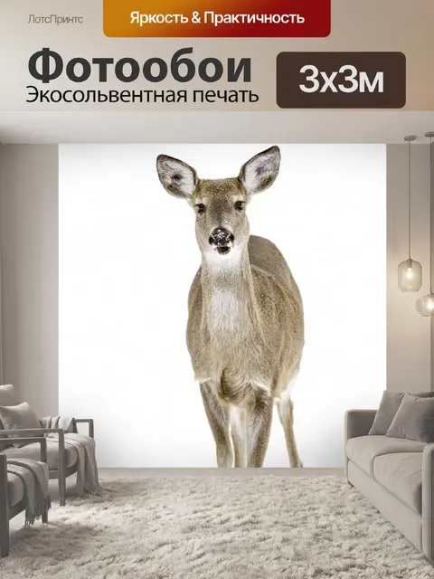 Фотообои Олень
