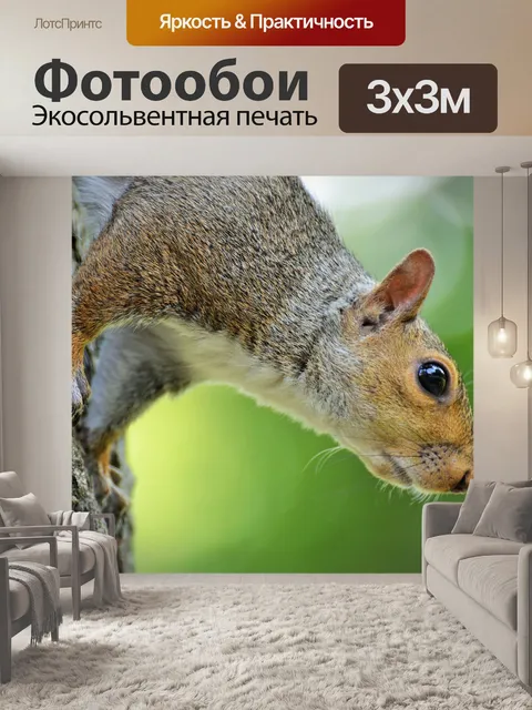 Фотообои Белка