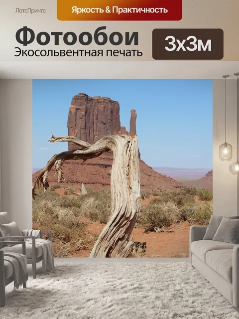 Фотообои Долина монументов