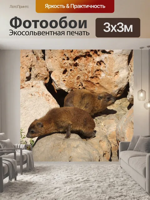 Фотообои Рок-кролики в Рош-Ханикра