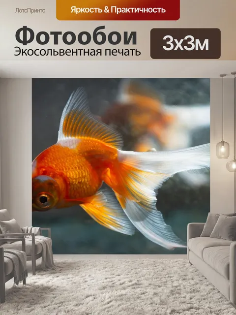 Фотообои Fish
