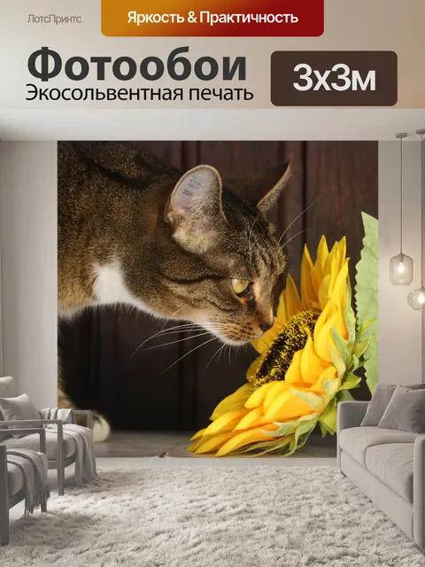 Фотообои Кот