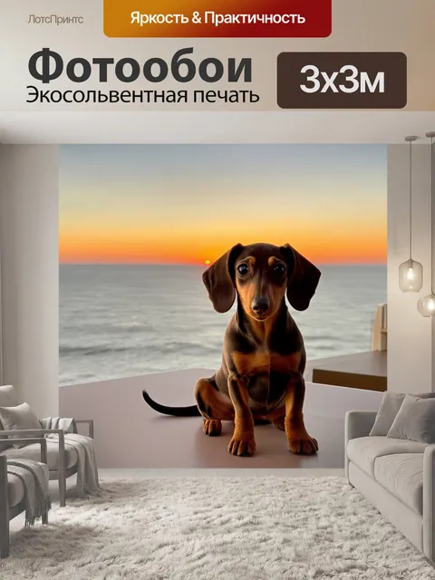 Фотообои щенок дакса-дабл сидит на террасе с видом на океан