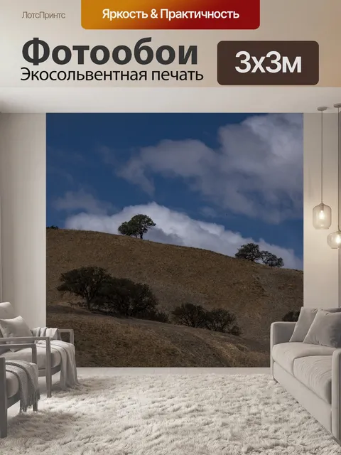 Фотообои Дубовые деревья на травяном холме