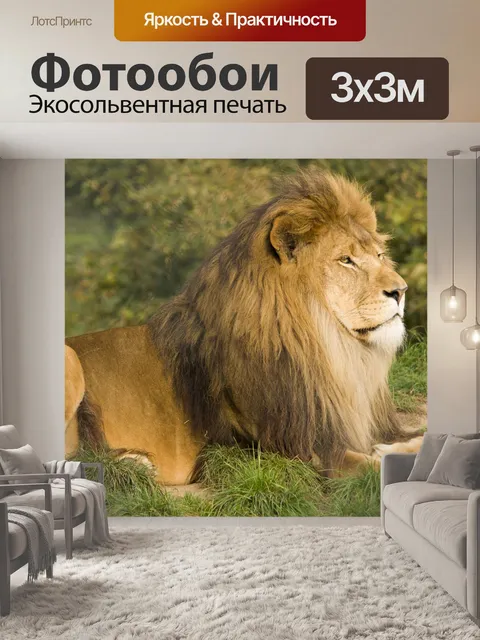 Фотообои Дикий