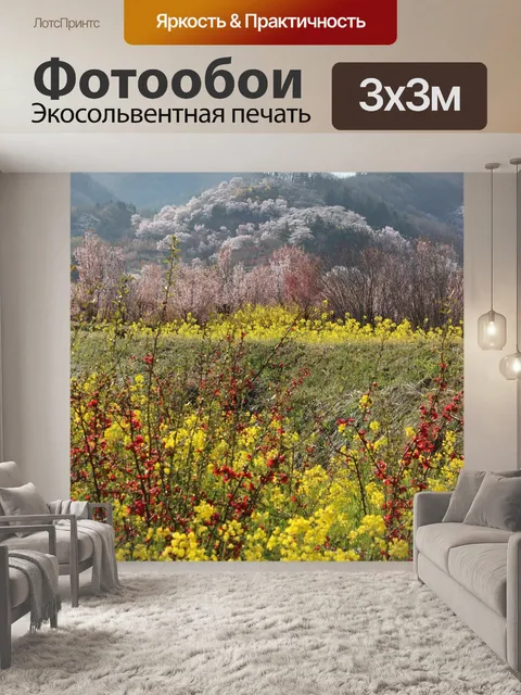 Фотообои Фукусима