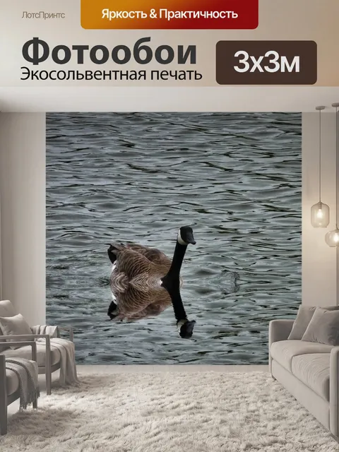 Фотообои Гусь