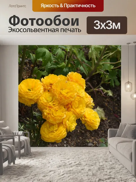 Фотообои Желтые лютики