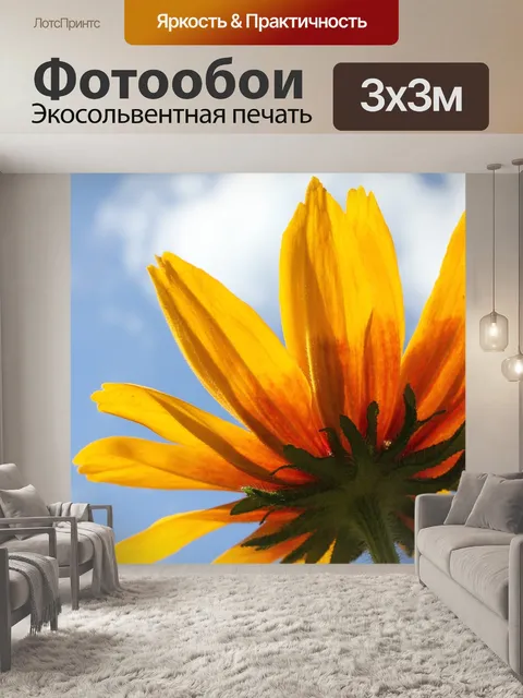 Фотообои Цветок