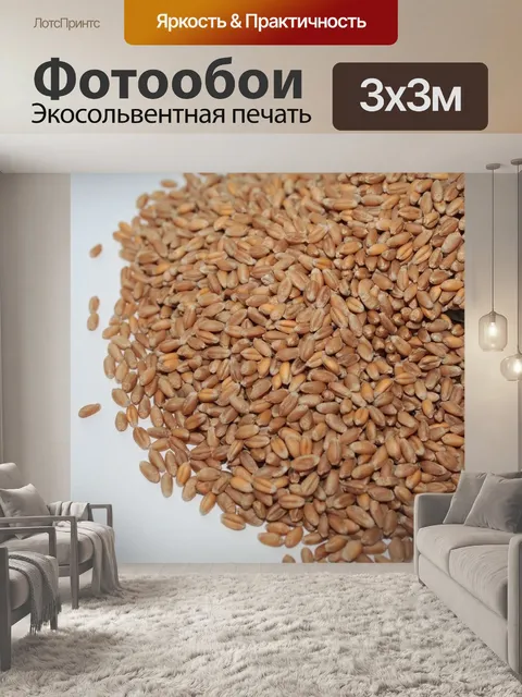 Фотообои Wheat seeds