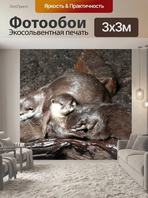 Фотообои Блеклая выдра