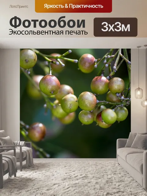 Фотообои Фрукты