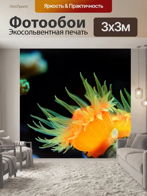 Фотообои Коралл