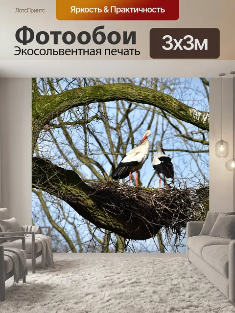 Фотообои Аист
