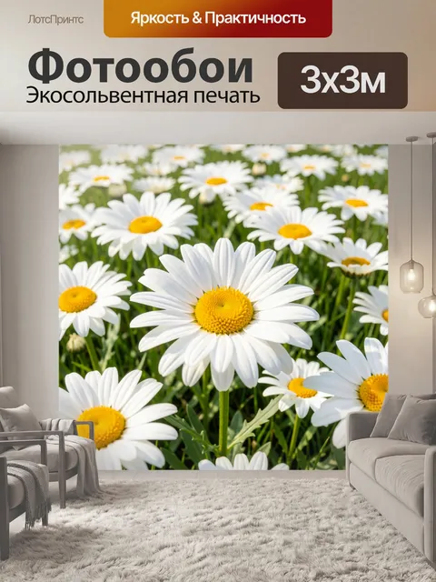 Фотообои Поле ромашек крупным планом