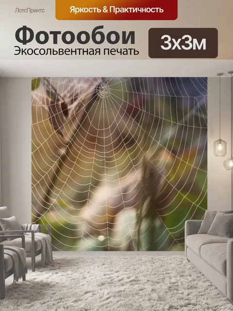 Фотообои Паутина
