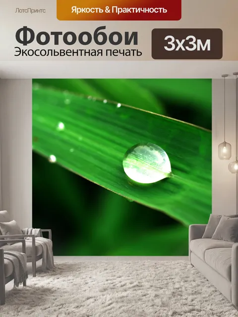 Фотообои Капля воды на листе